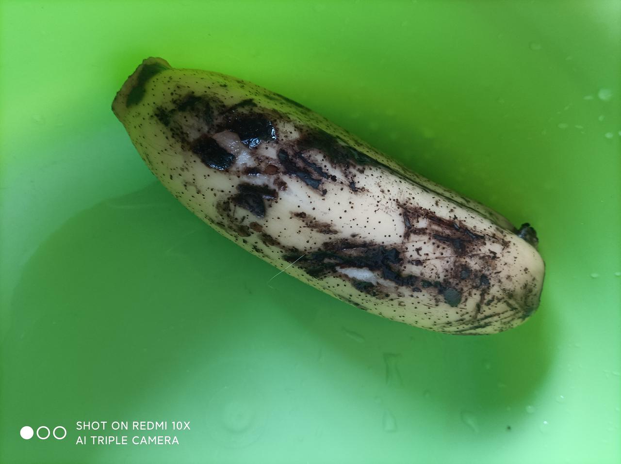 菜场带泥藕千万莫买一一
早上我到汉口田四路一家超市菜场买了一节带新鲜泥藕，准备炒