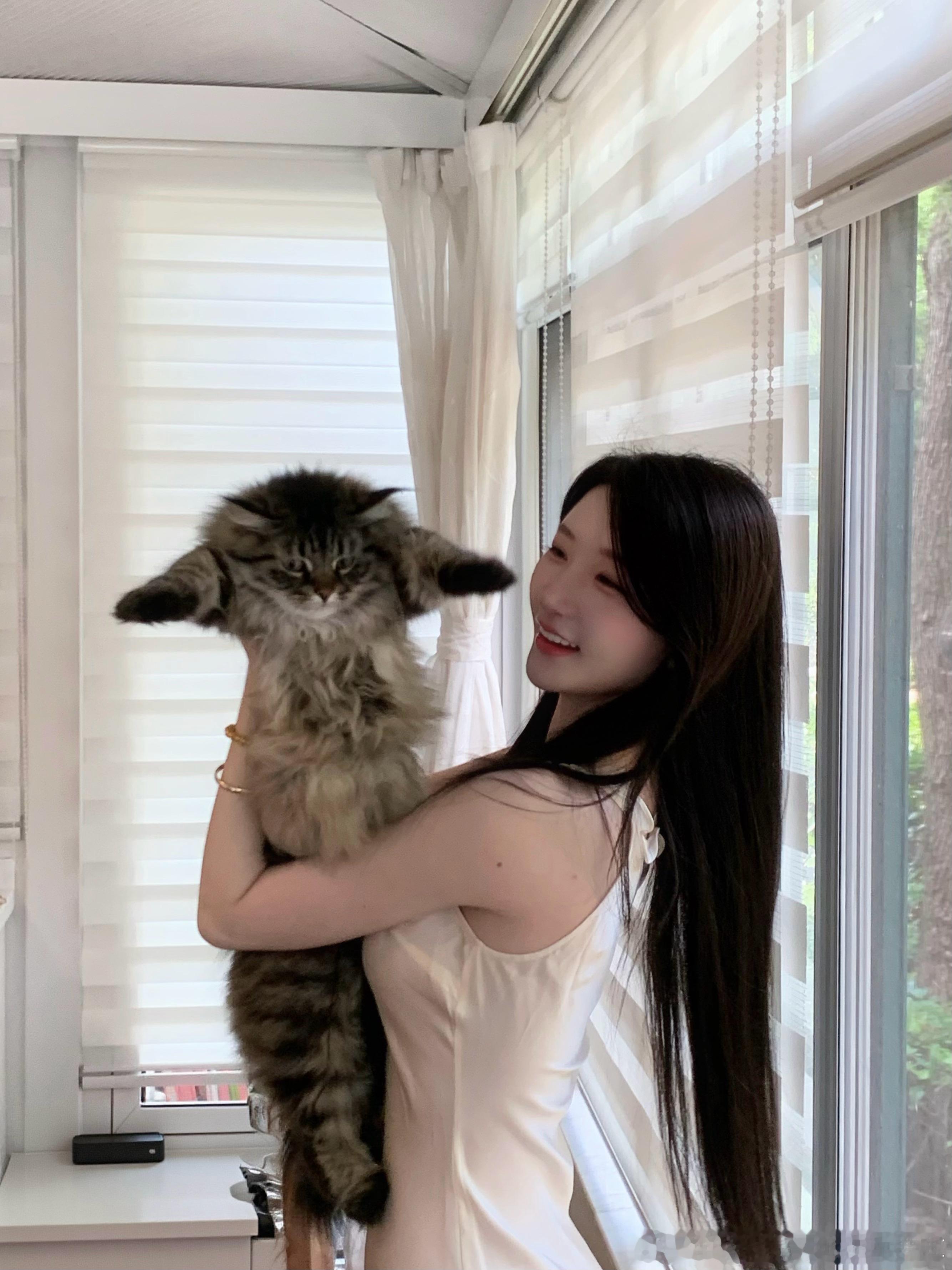 我们小姑娘真慢热，麦终于开始在我回家之后表现出特别粘人特别想我了，我在床上躺24