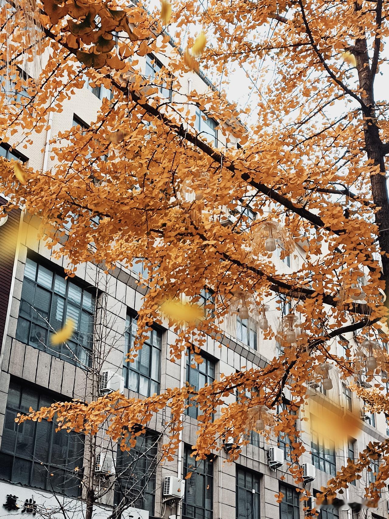 人生就是场没彩排的戏，别太较真。健康是1，其他都是0，没了健康啥都白搭

别总盯