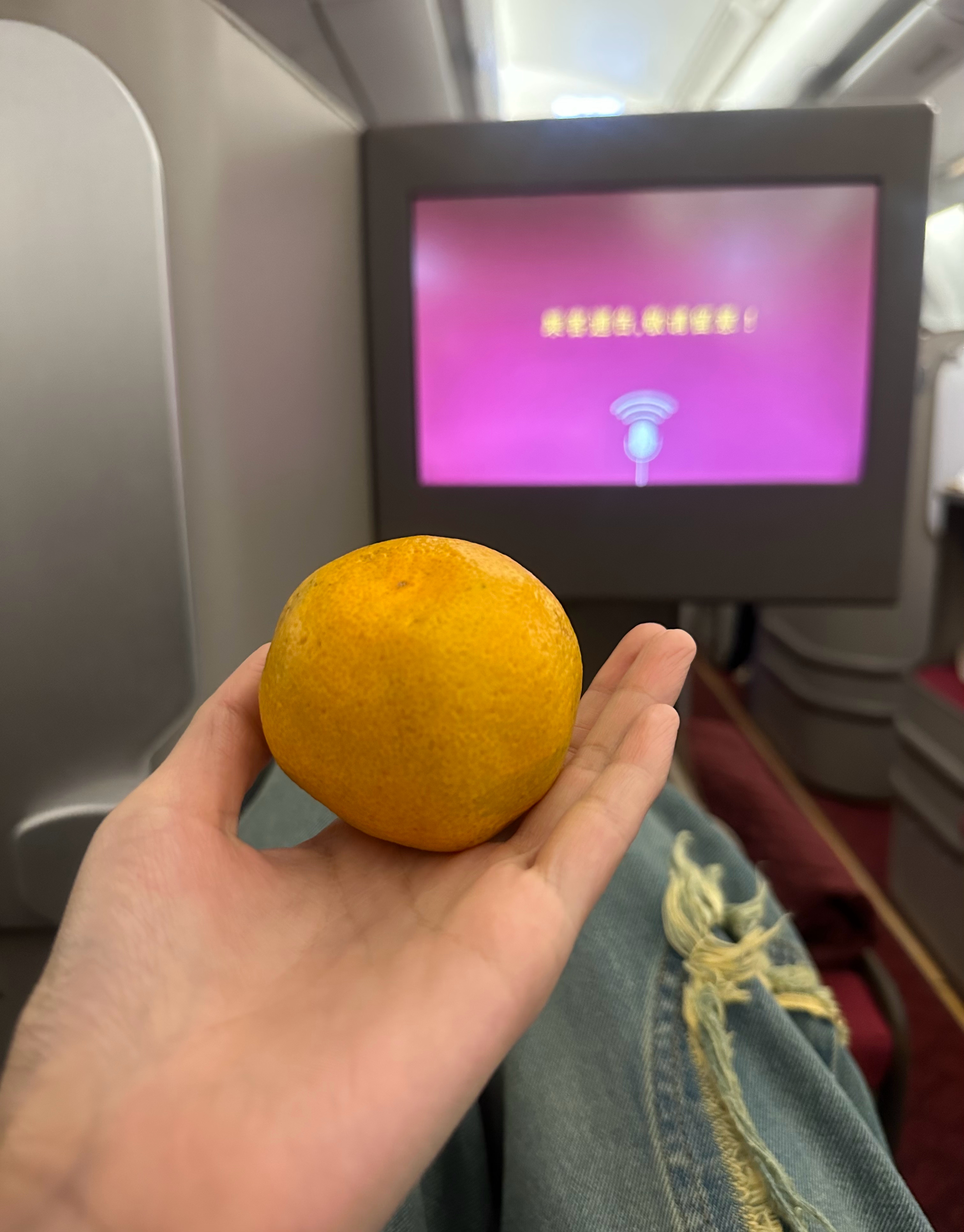 24小时pia哒来pia哒走✈️ 感受到了冷空气 ​​​