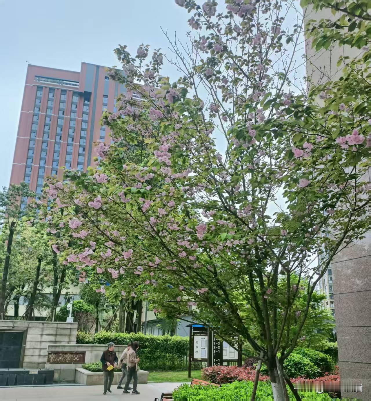 人们常说:一天之际在于晨，一年之际在于春。晨已被年轻人的工作节奏而破局，春却被一