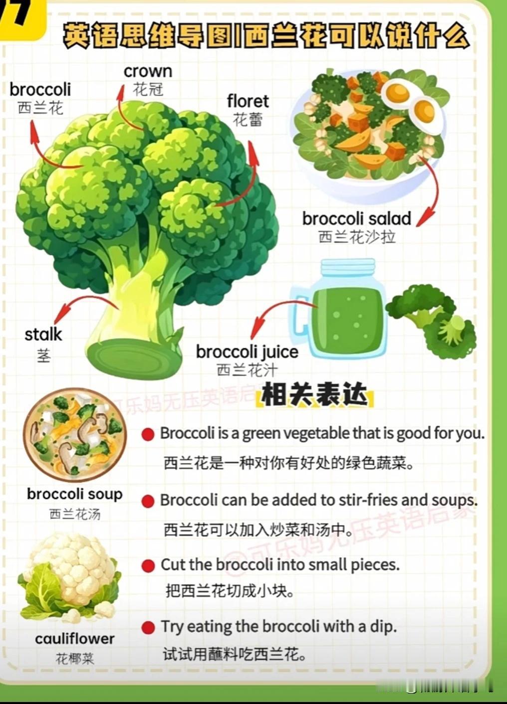 跟“西兰花”有关的英语词汇