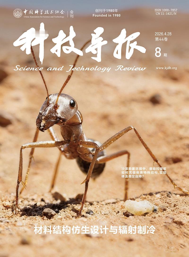 【专题：材料结构仿生设计与辐射制冷】《科技导报》2026年第8期出版了“材料结构