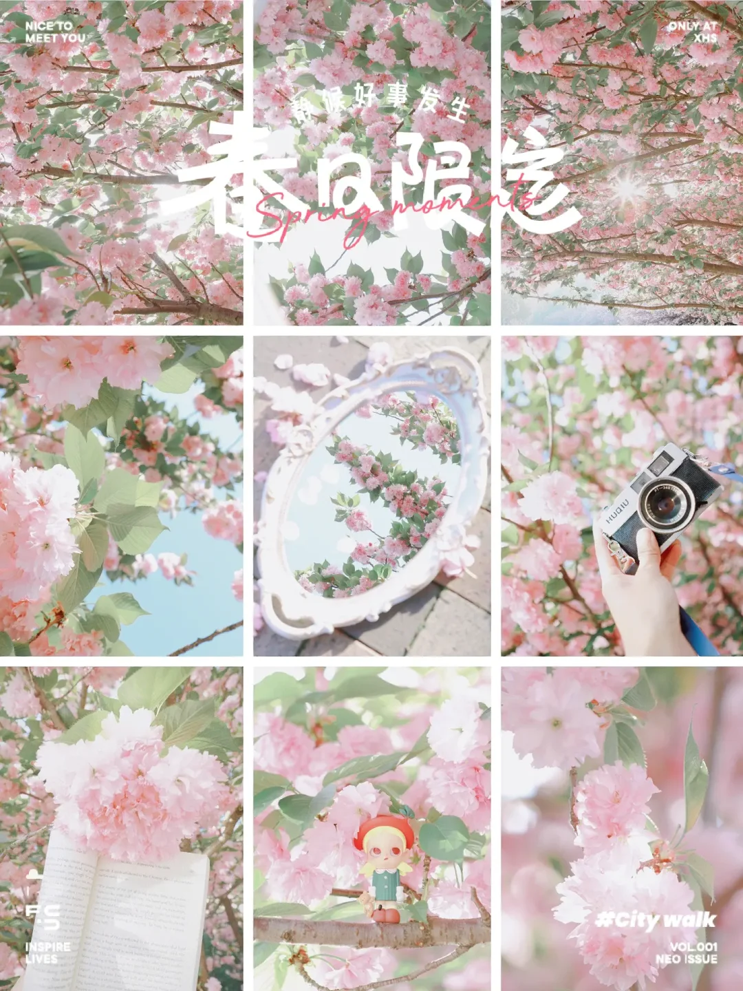 不敢相信‼️这是开在苏州地铁口的晚樱🌸绝了