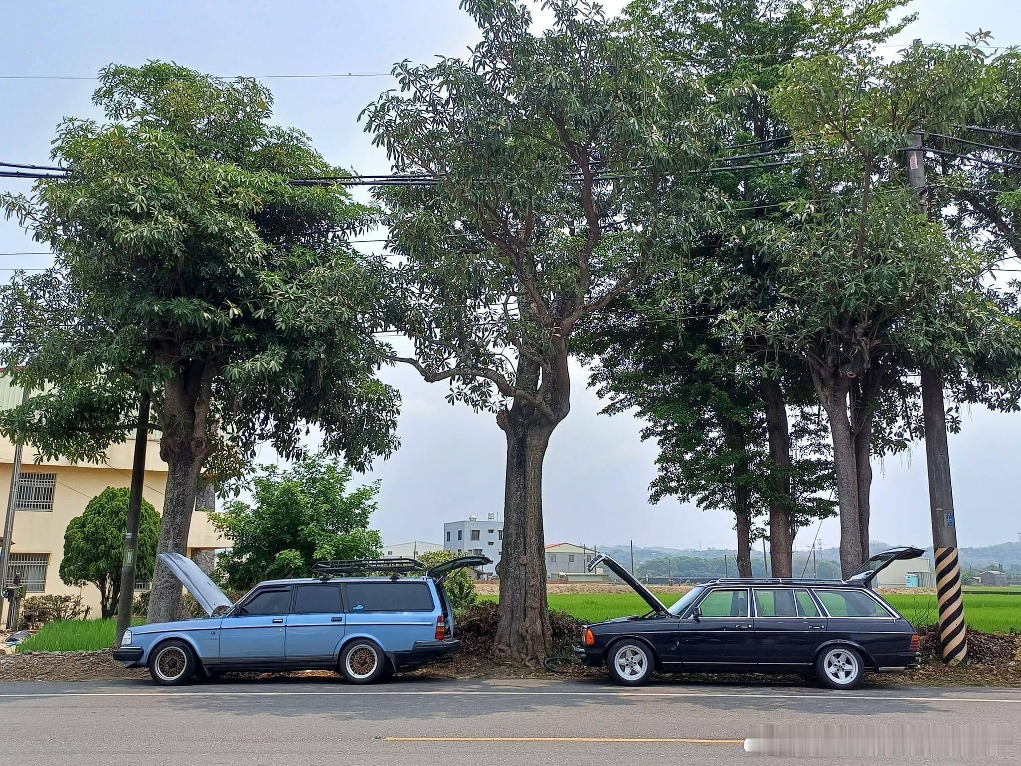 #台湾老车#VOLVO 245 Wagon & BENZ S123 Wagon 