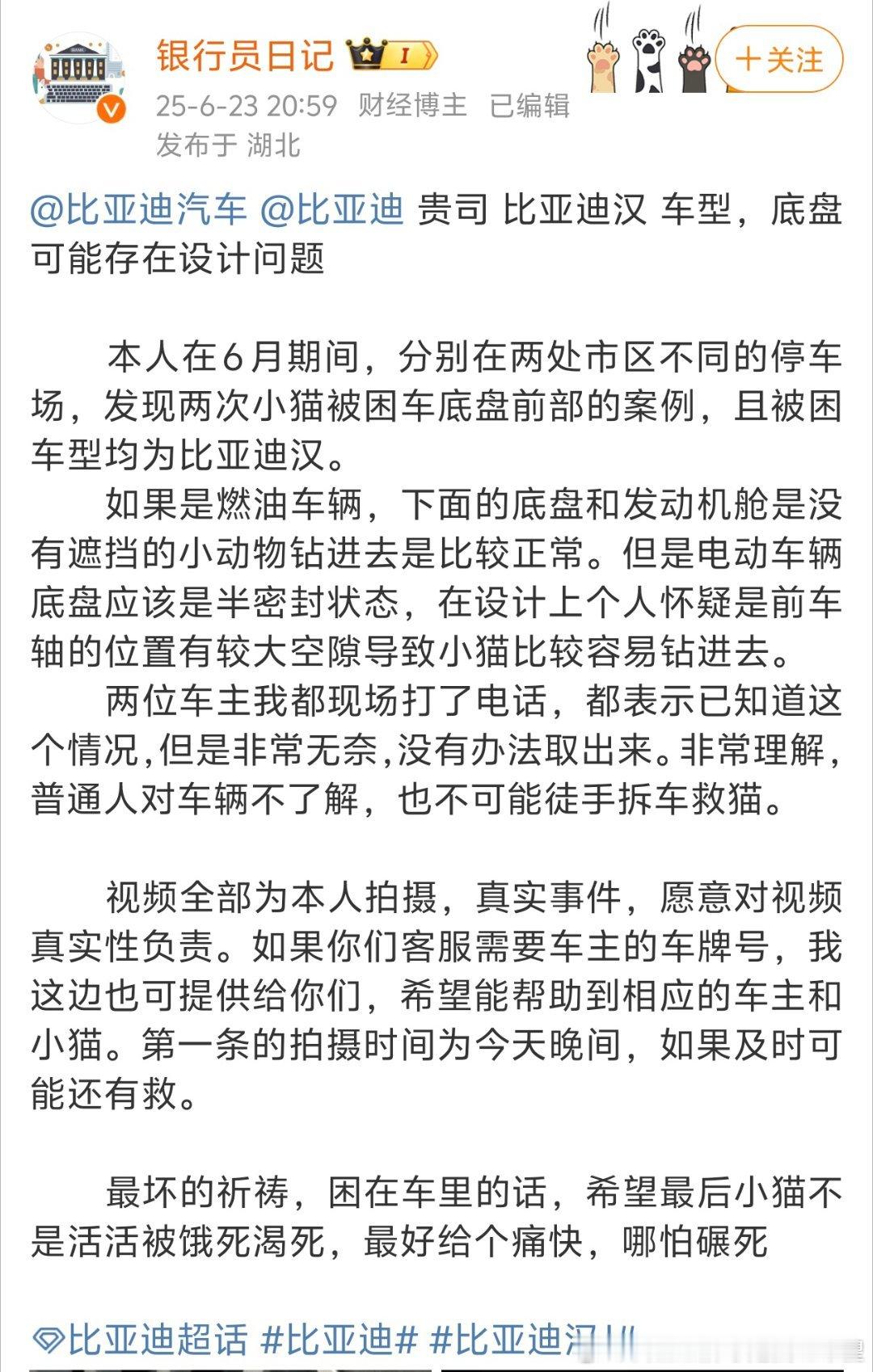 财经博主搞流量就是狠啊我也养猫但是 猫钻进去和底盘有个屁关系猫什么地方钻不进去？