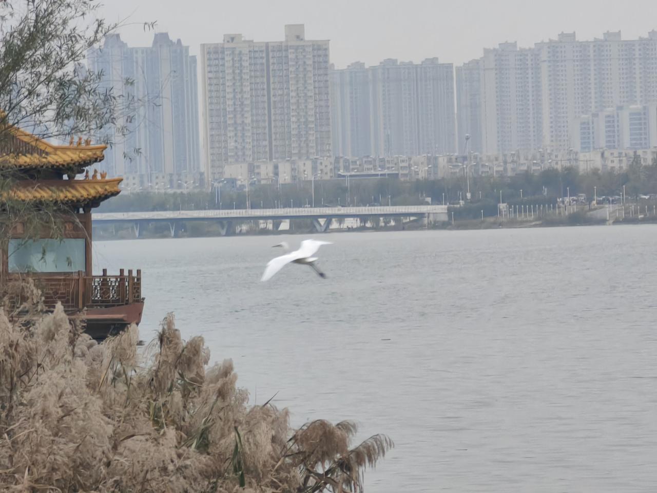 冬日生活打卡季