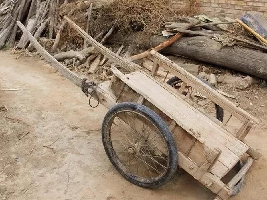 这个在你们当地叫法是什么👀 ​​​