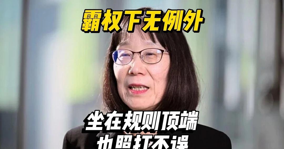 美国制裁告诉你：规则顶层也没有免死金牌
很多国家心里都藏着一个执念：把自己人送进