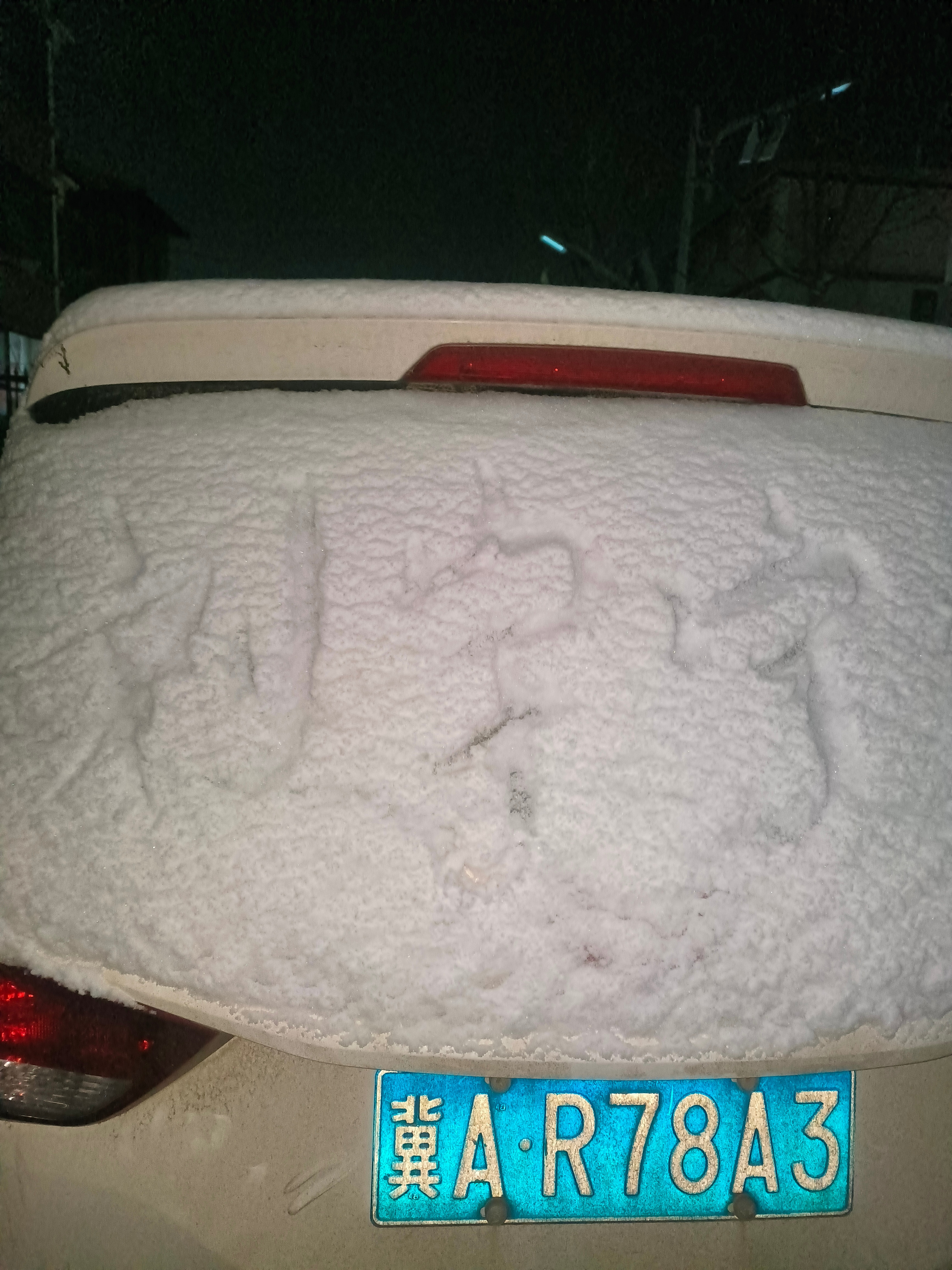  初雪临城，世界瞬间换了银装。想约喜欢的人踩雪而行，不用刻意奔赴白头，只愿此刻的