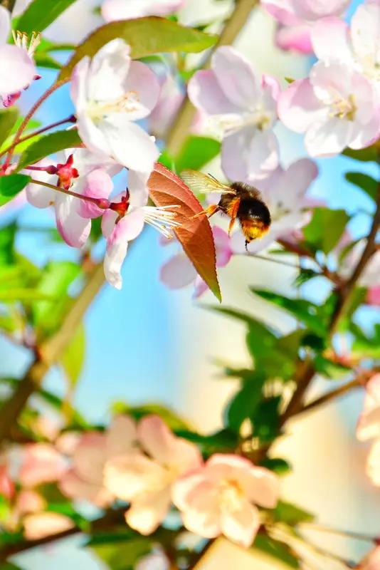 看到“秋乘落叶去”这句上联，瞬间就感觉诗意满满，画面感十足。秋本无形，却好似骑着