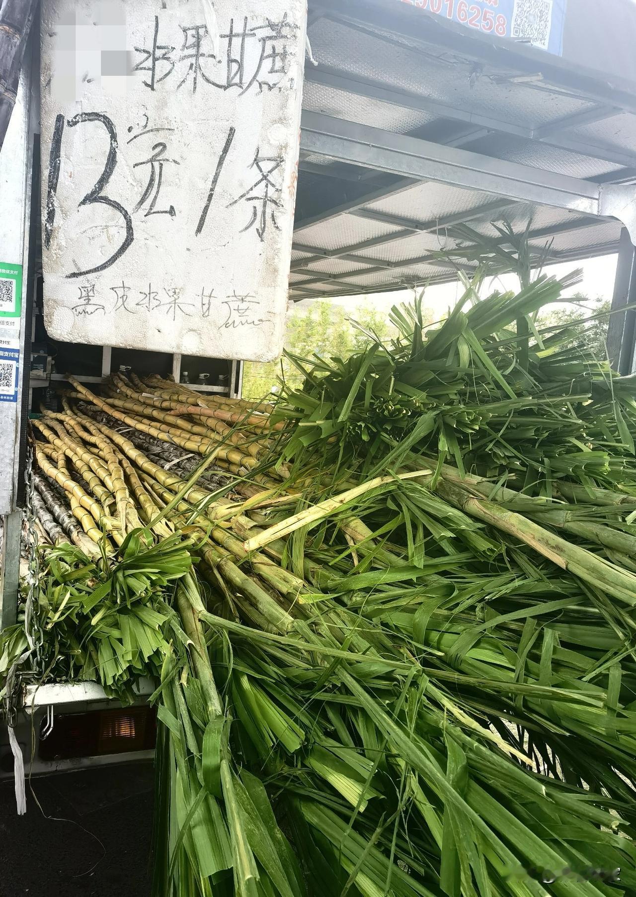 晒图笔记大赛一条甘蔗13元，这价格是贵还是便宜呢？但是这种蔗真的是超级甜的。