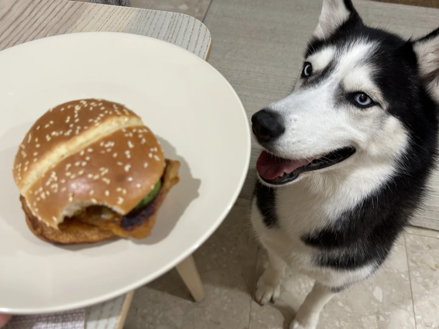 🇸🇬麦当劳新品汉堡蛮好吃的诶