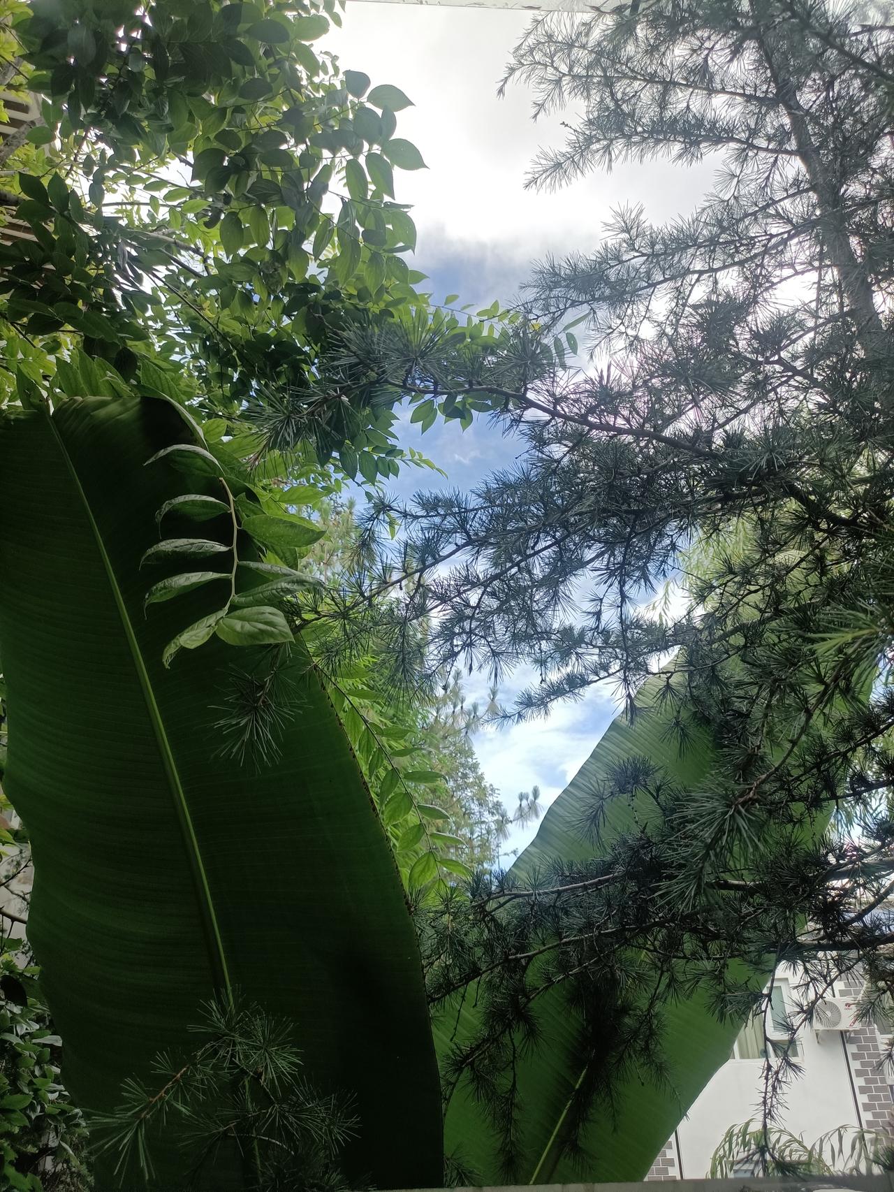 记录生活中每一个美好点滴