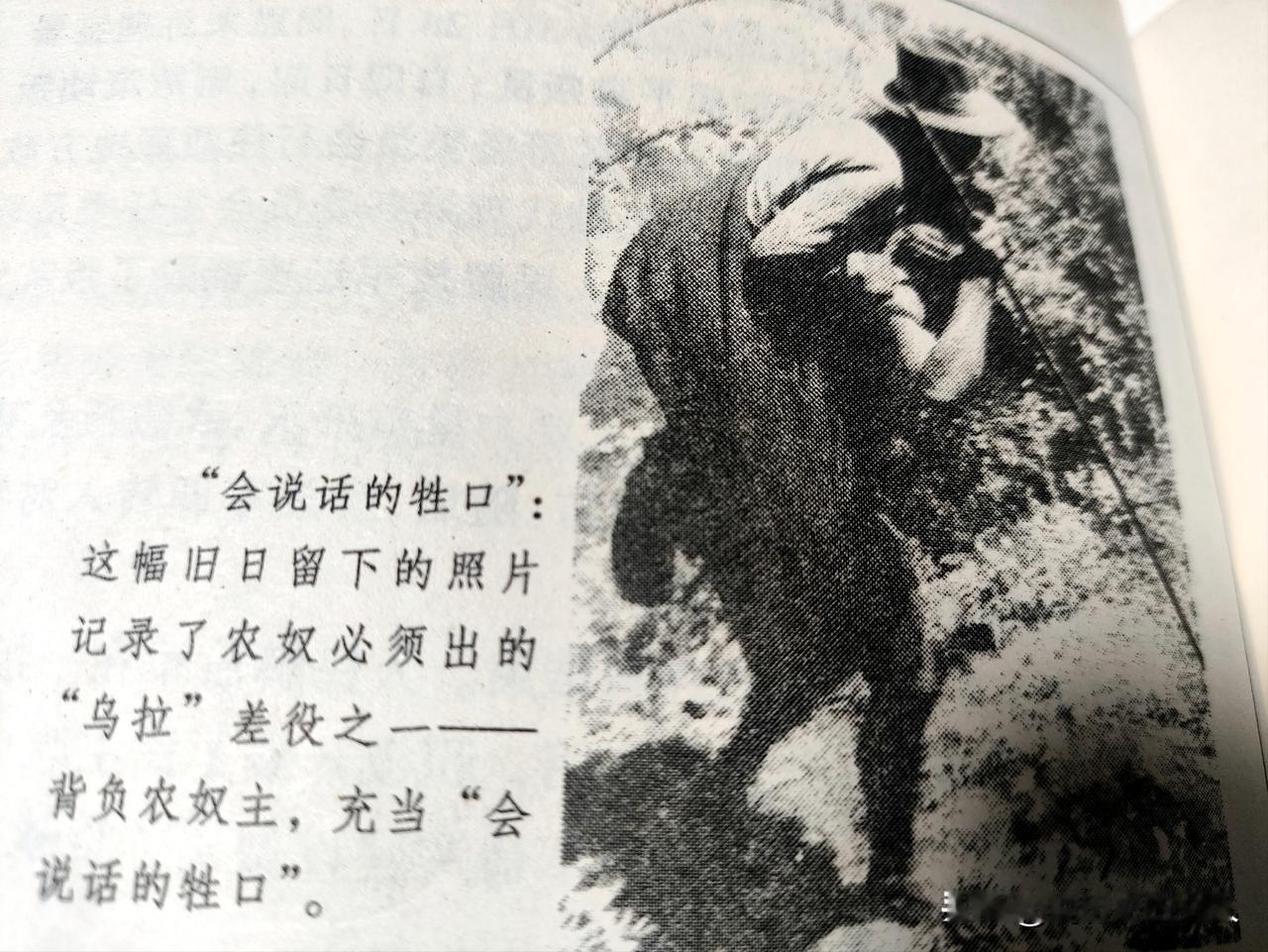 “会说话的牲口”！
剥削阶级和被剥削阶级的残酷写照！
