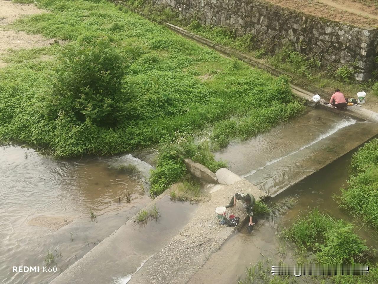 晨光散行

天刚蒙蒙亮，我便起身出门，晨风裹挟着微凉，拂过面颊，我独自踏进这尚在