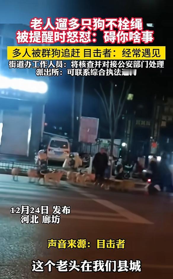 “必须严惩！”近日，河北廊坊，一男子出门散步时，见一位大爷带着20多条没有栓绳的