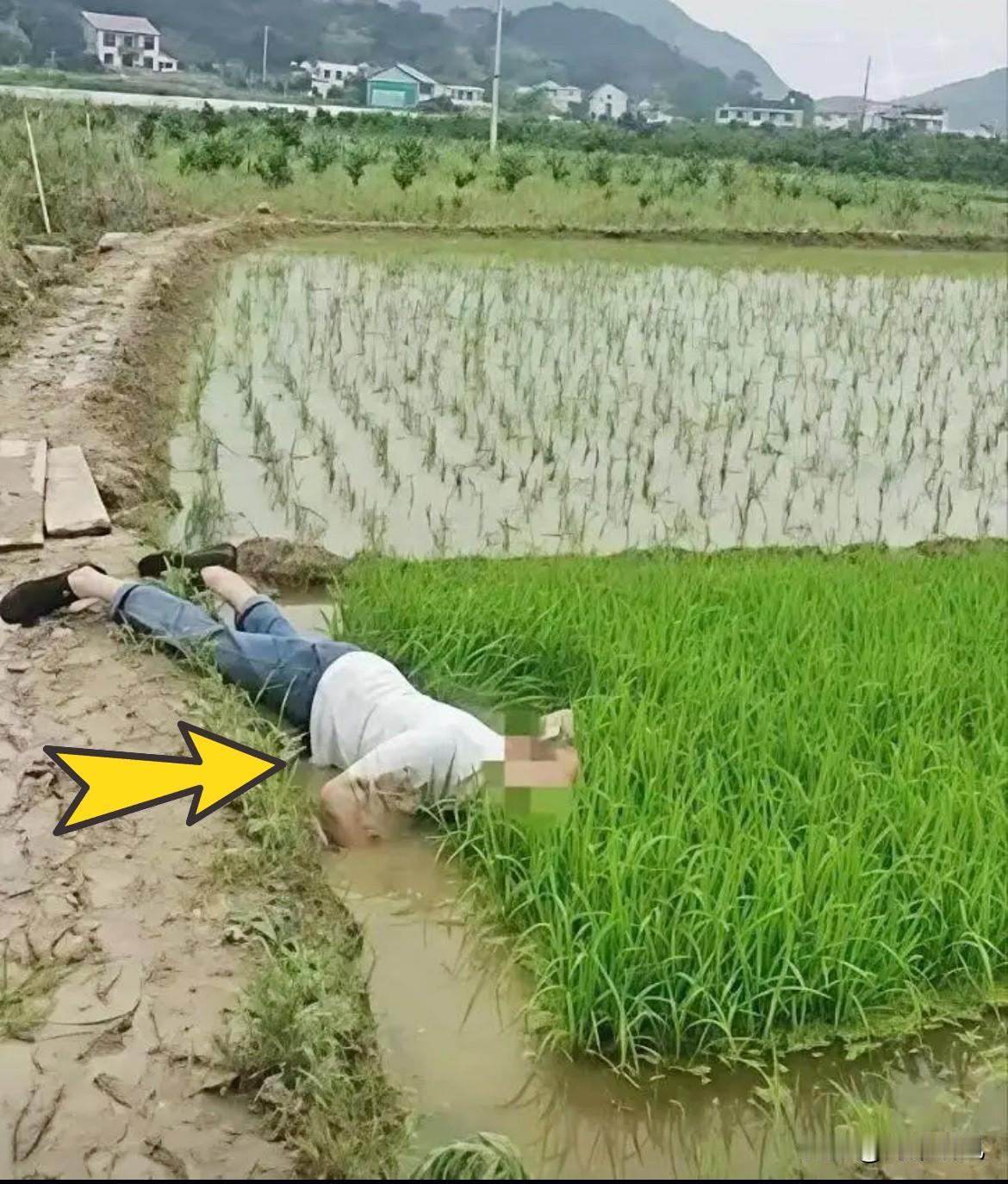 现在的社会真不是“谁死谁有理”的遮羞布了。

成都郫都区一位76岁的老大爷，清晨