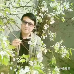 张同刚国际观察室