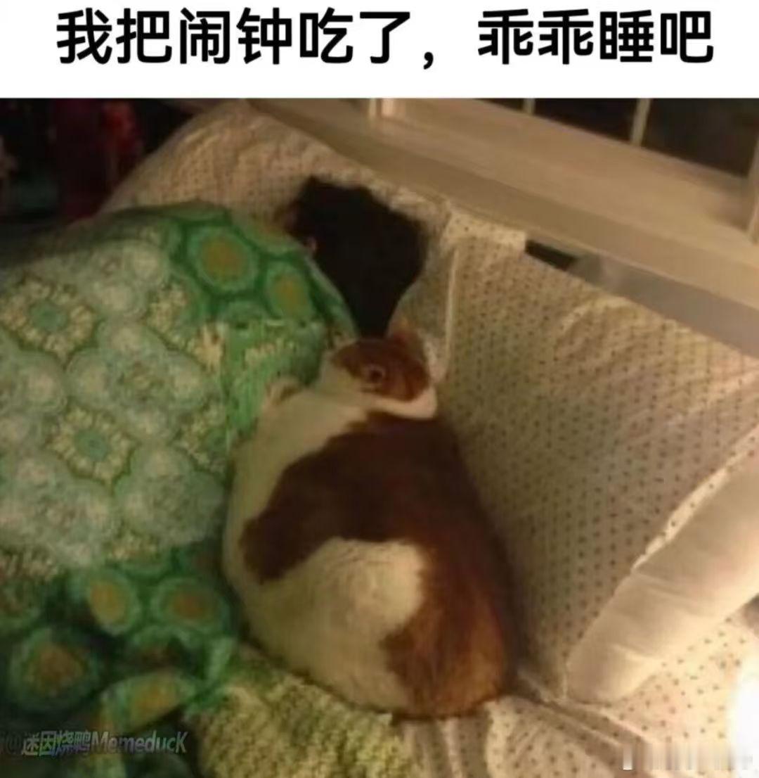 现在的AI短剧强到无法无天，尤其是悬疑恐怖类的现在才是给人看的东西，以前都看的啥