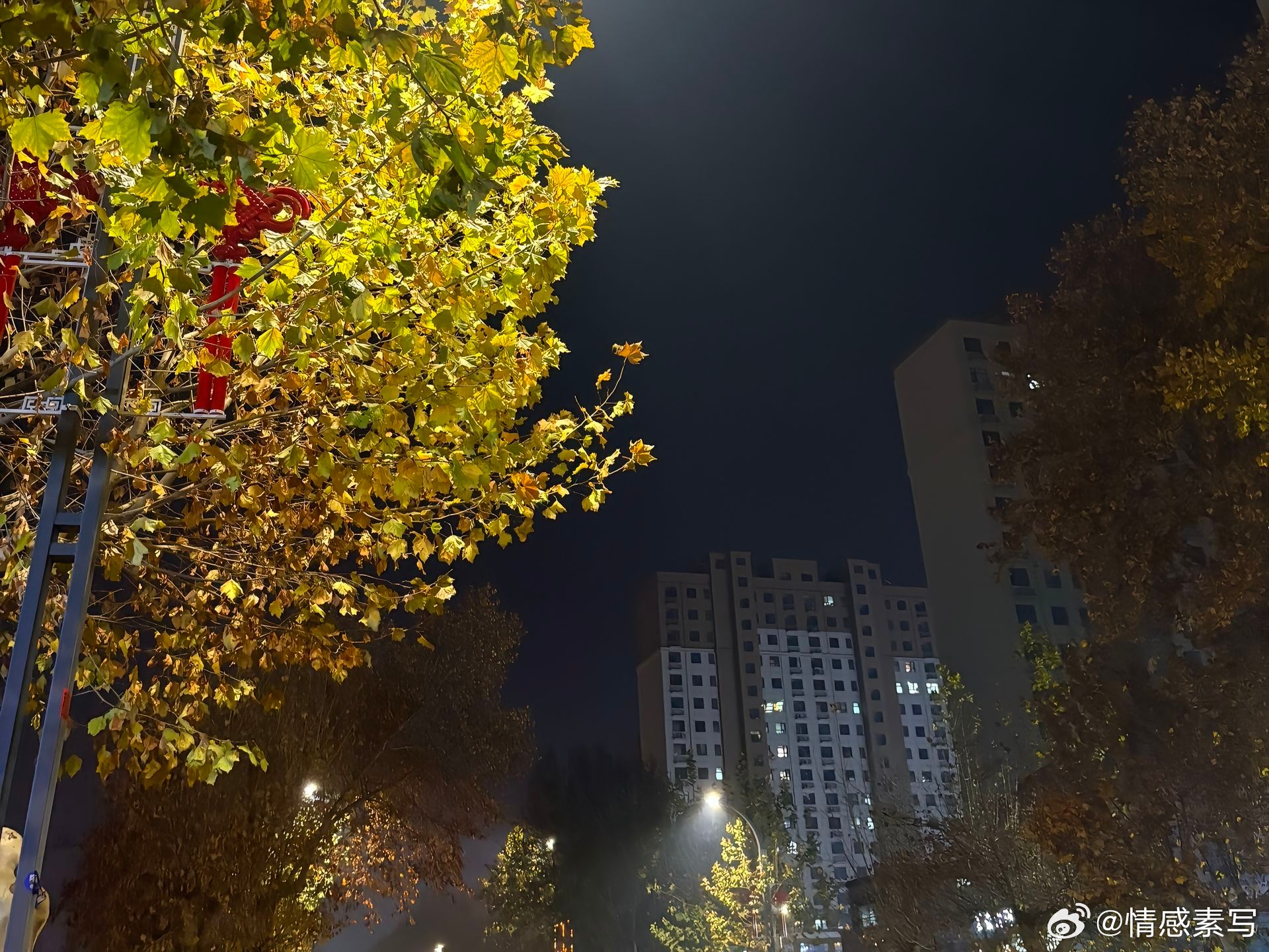 随手拍时间在变，人也在变，唯一不变的是，再也回不到从前了。一路走来，重要的人越来