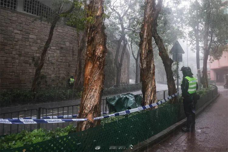 📢香港湾仔惊现无头尸香港湾仔坚尼地道9至13号对开树下，发现一具无头尸，警方在