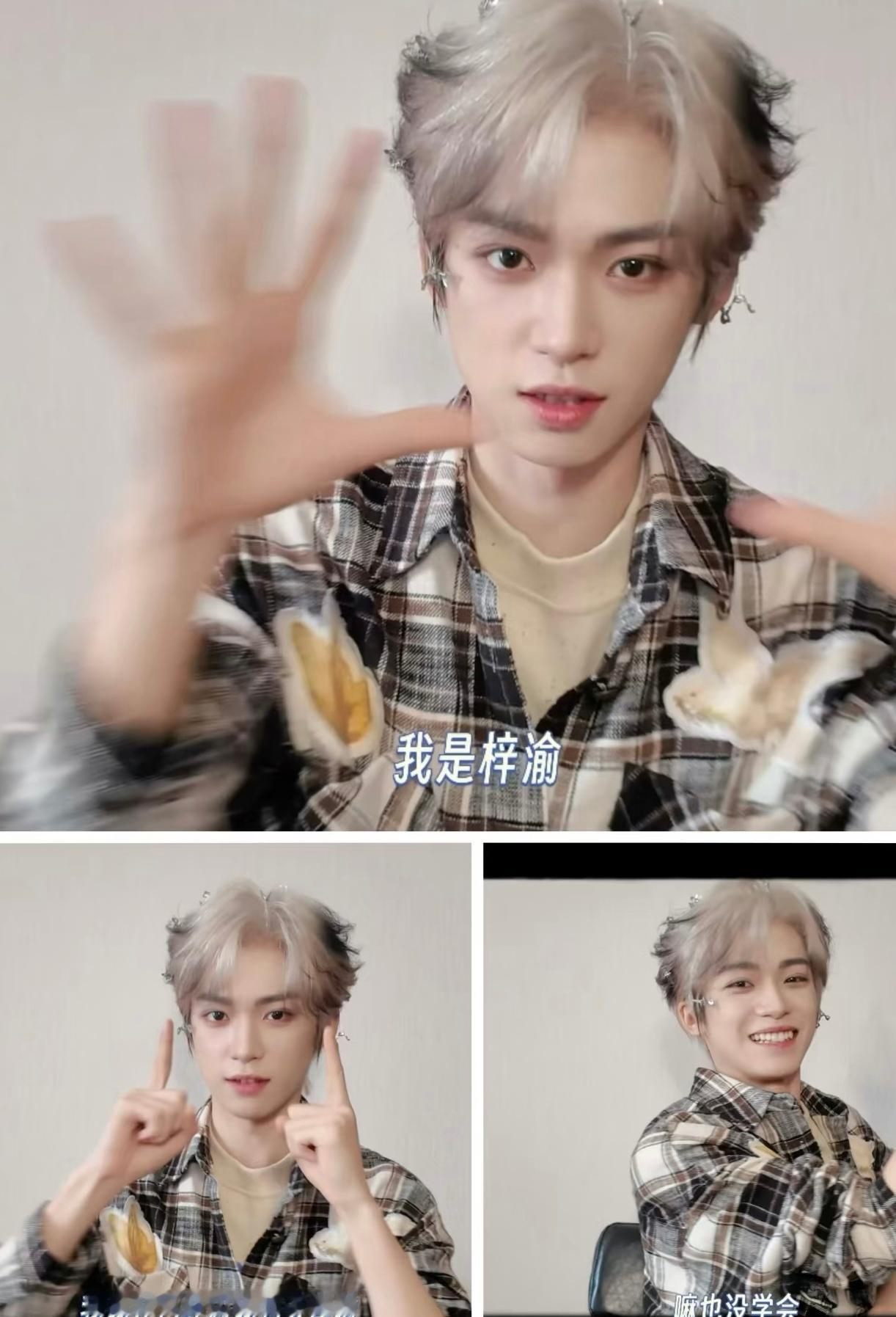 梓渝可爱的暹罗猫猫返场，天津话刀马刀马太可爱太萌了！梓渝真的在走一条完全不一样的