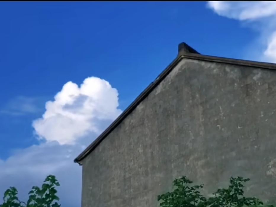 有时候，夏天的云很甜。
卷成一团，温柔的一小团，像一朵棉花糖。
其实，夏天的云善