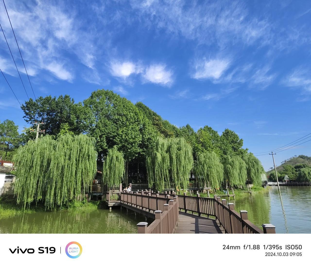 #随手记录秋日生活#
当地景区，风景宜人。
万条垂柳映河中，小桥碧水喜人心。
空