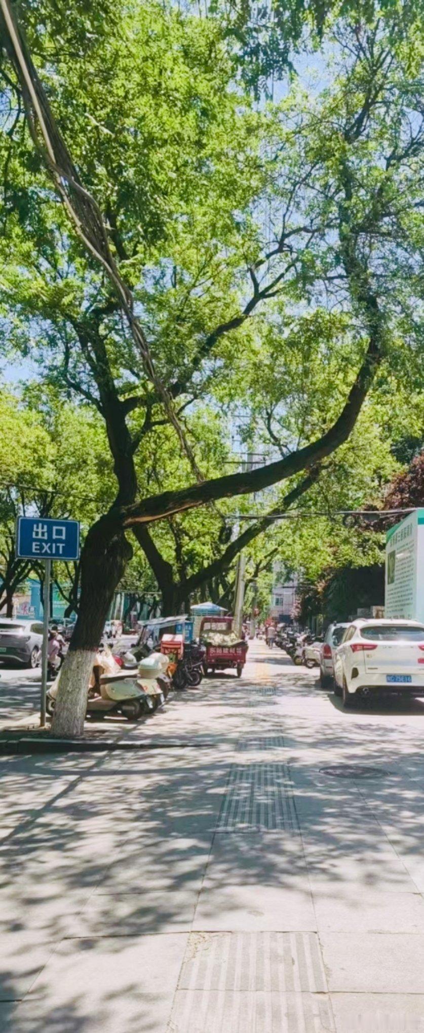 今天第一次感受到了炎炎夏日。 