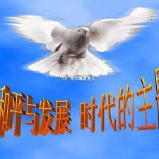 特朗普对委代理总统发出威胁   “和平与发展”还是时代主题吗？我们对外贸易顺差超