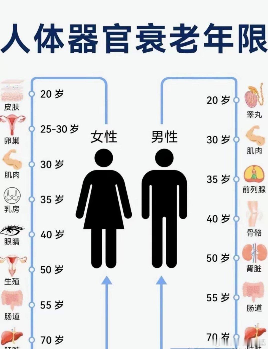 是这样的吗？