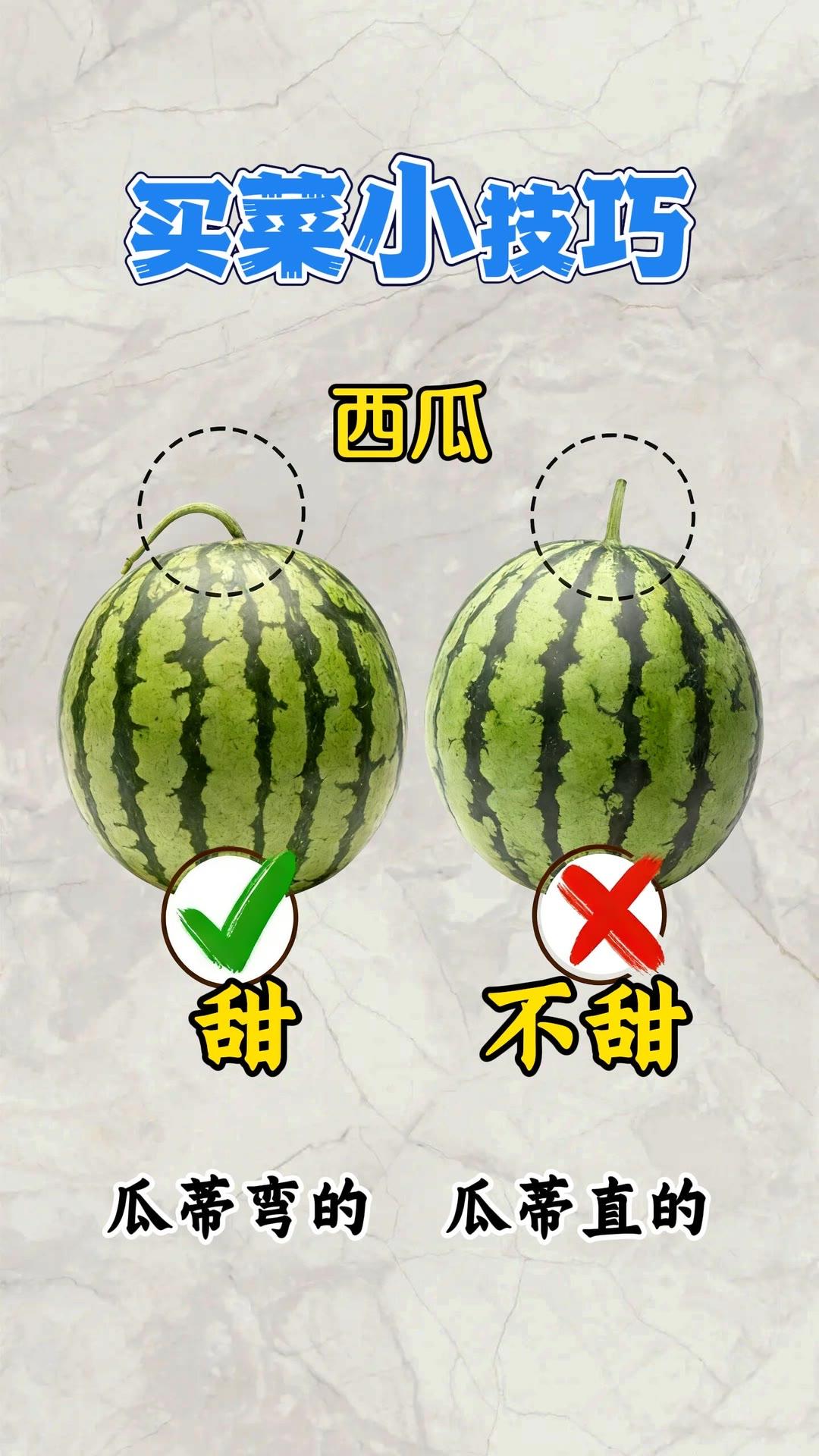 生活小常识 涨知识 买菜小技巧 每天学习一点点买菜避坑小技巧 蔬菜选购小妙招 买