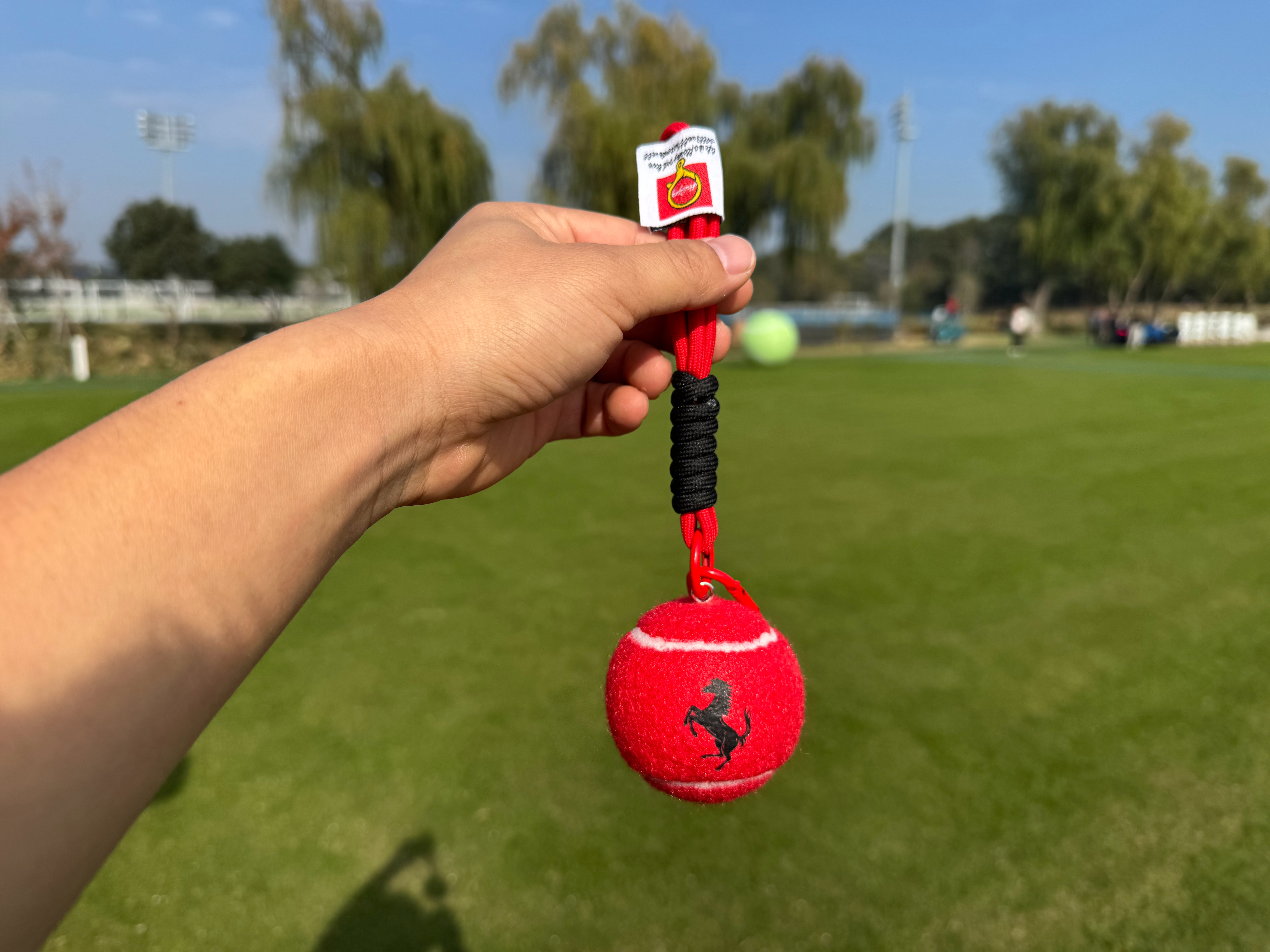 法拉利网球挂件、想要的评论起来  