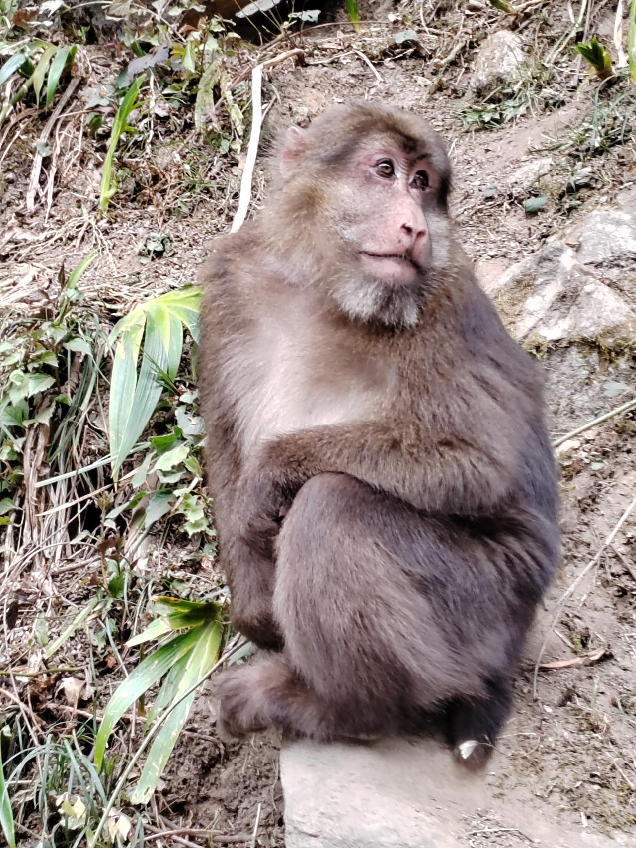 一、事件核心（截至3月9日）
 
当地时间3月7日，特朗普在社交平台与记者会上宣