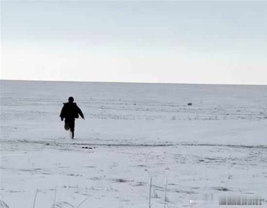 小狐狸叼走运动相机 第一视角记录挖坑埋赃全程最近，一位旅行博主在雪地旅行时，遭遇