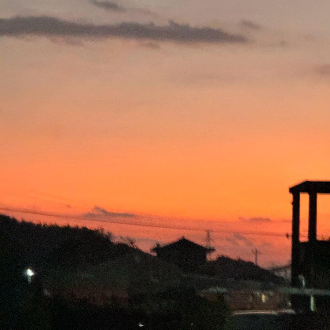 📸 ​​​