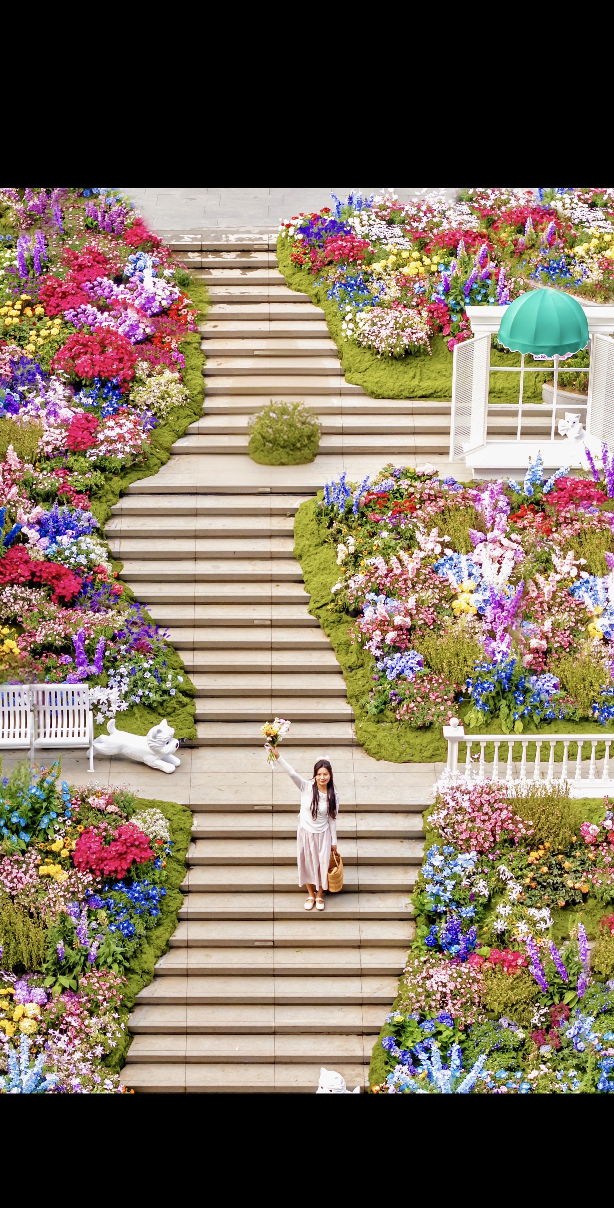 3.7实拍！免费！武汉莫奈花园🖼️美翻。春天当然要去逛公园拍花花呀?...