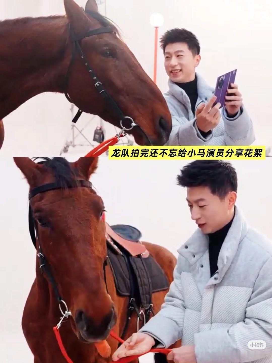 华为matexts鸿蒙推广大使马龙 这是另一个新角度的嘛？马龙对着小马马笑得怪温