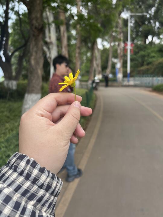 泥嚎，人。昆明一日游