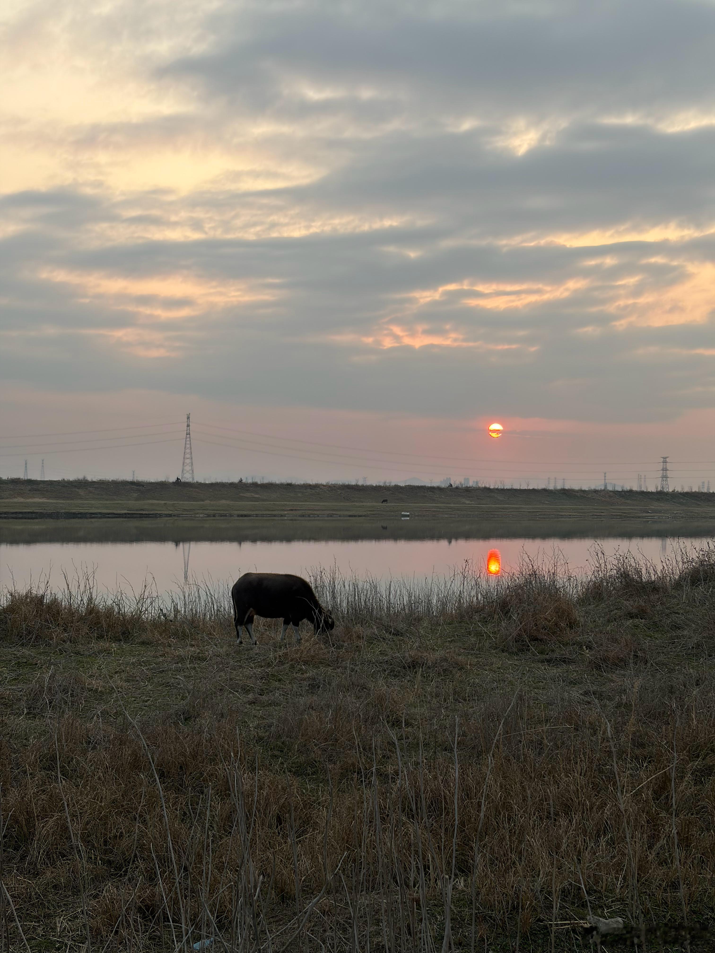 今年的第一次户外烧烤一直烤到了太阳落山 