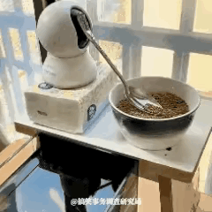 有一说一，
这个真的是厉害。