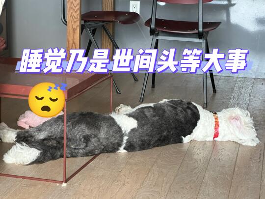 打工人床品分享｜睡觉乃是世间头等大事