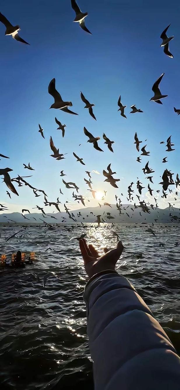 分享几张不错的壁纸