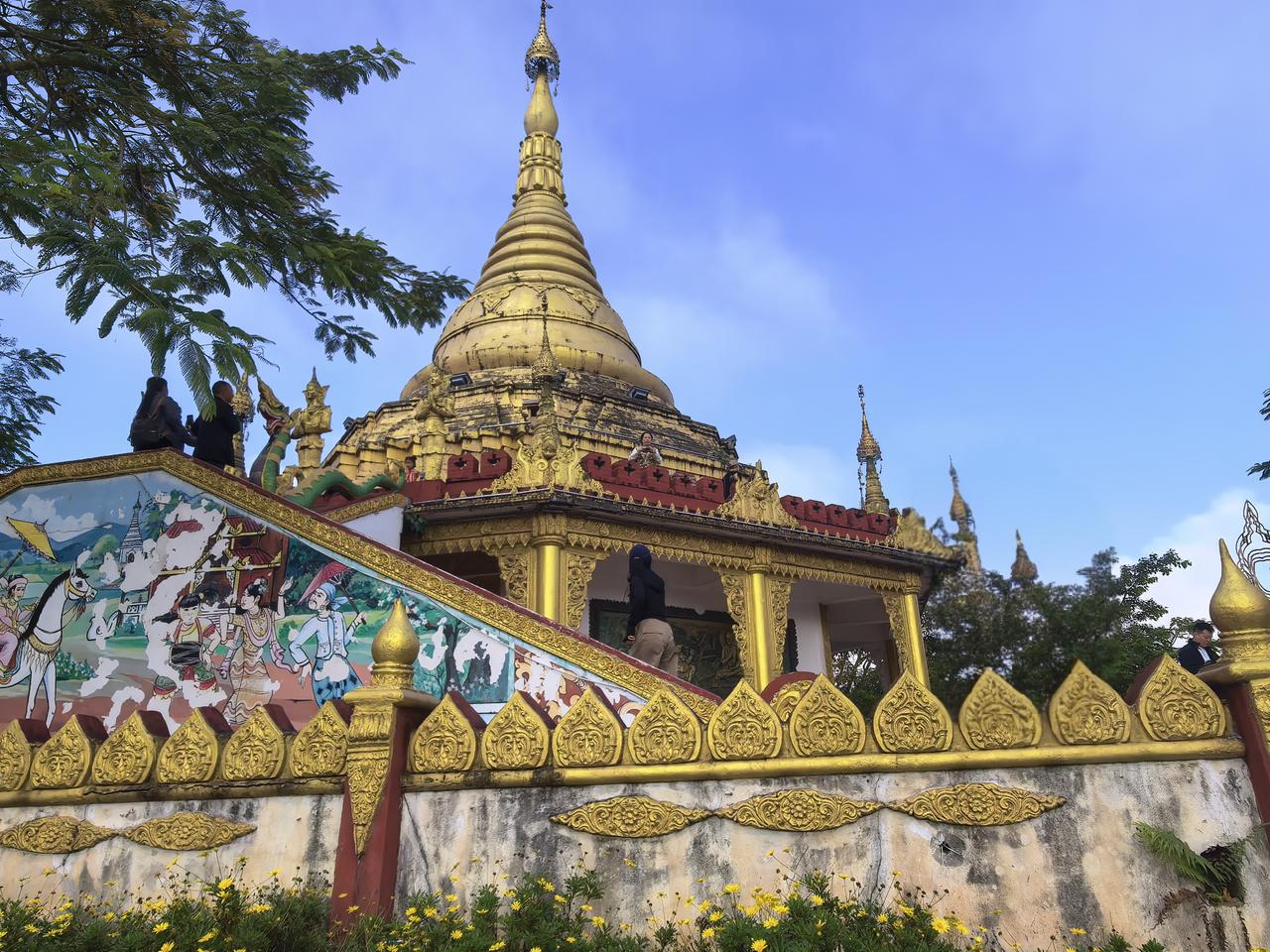 冬日生活打卡季