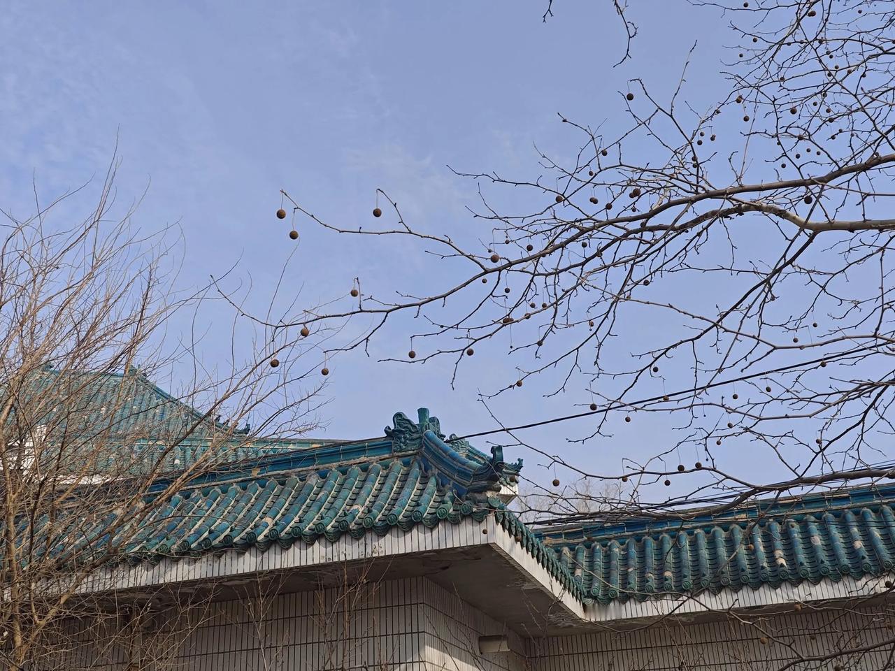 听说春天要来了
我怎么
看不到希望