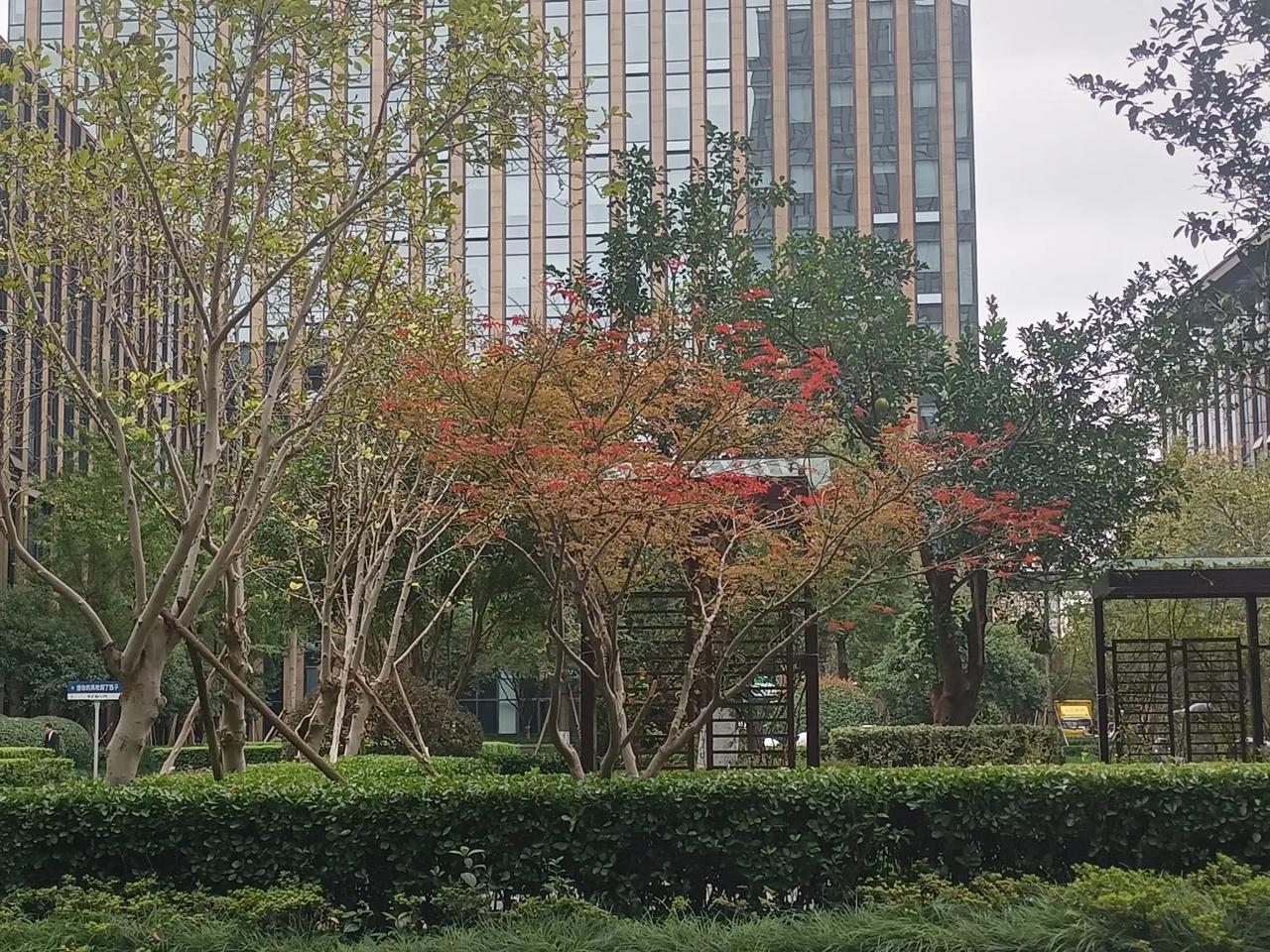 困难就像拦路虎，
你惧怕他，惧怕大城市的压力，逃到二三线城市，到了二三线城市，你