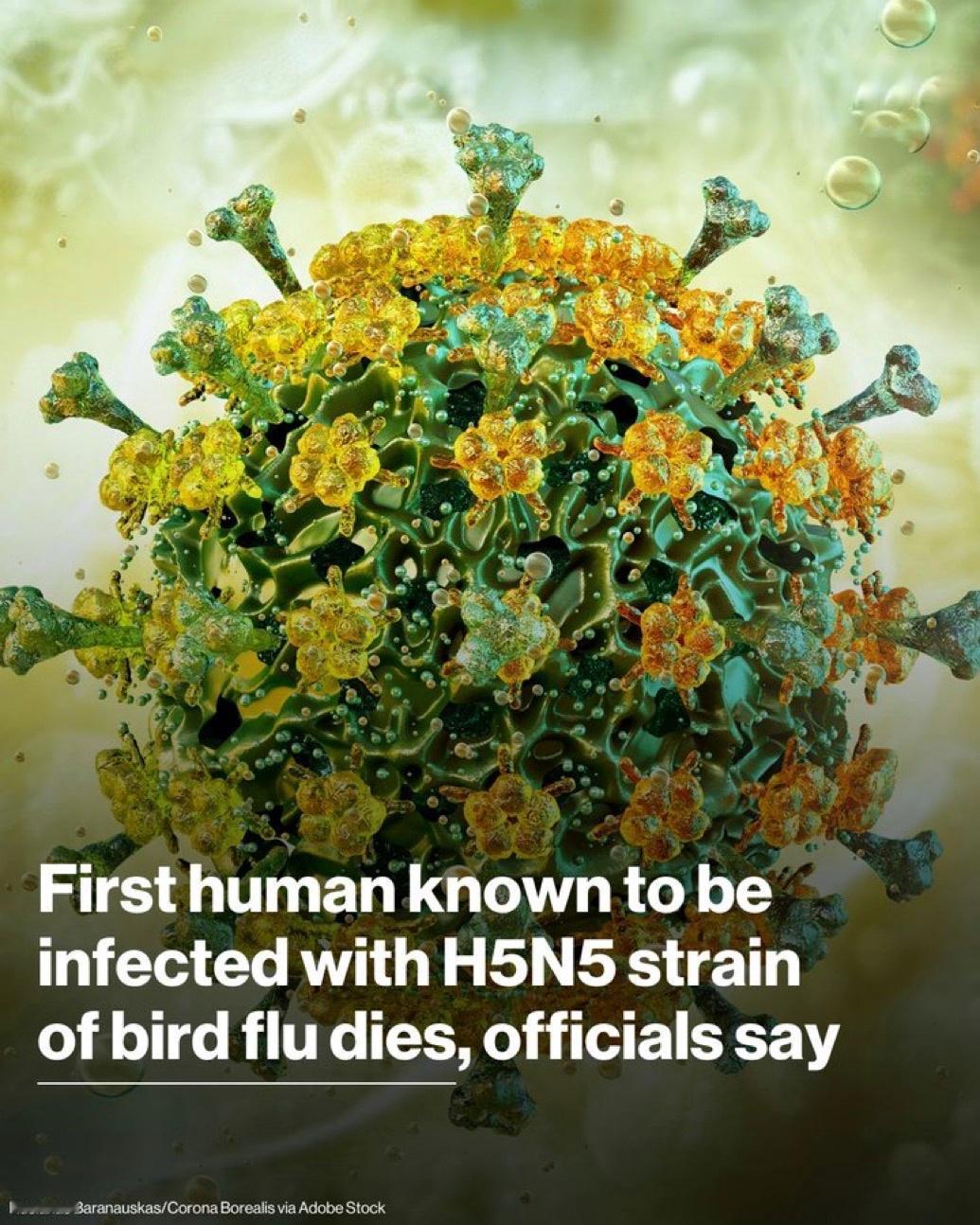 美国华盛顿州卫生官员证实，首例感染H5N5型禽流感病毒的人类死亡。

州卫生部门