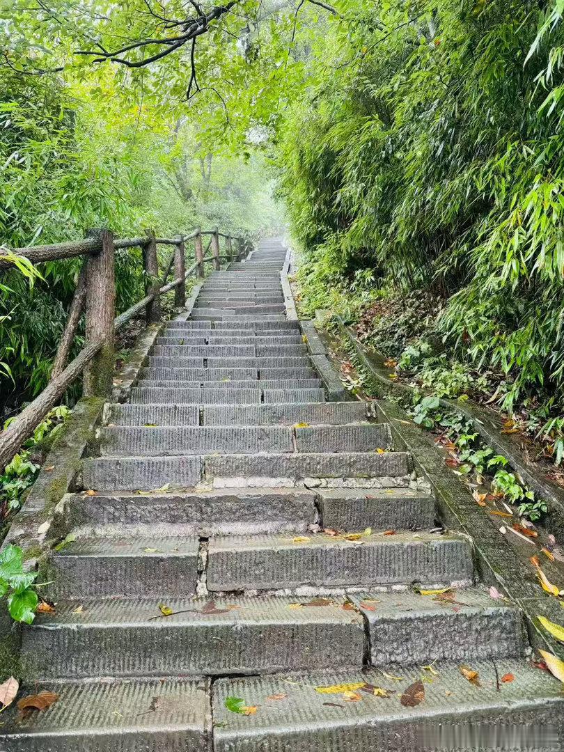 说好的爬山[馋嘴]上午下了点小雨，空气很清新🍃云雾缭绕的山峰超梦幻的[期待] 