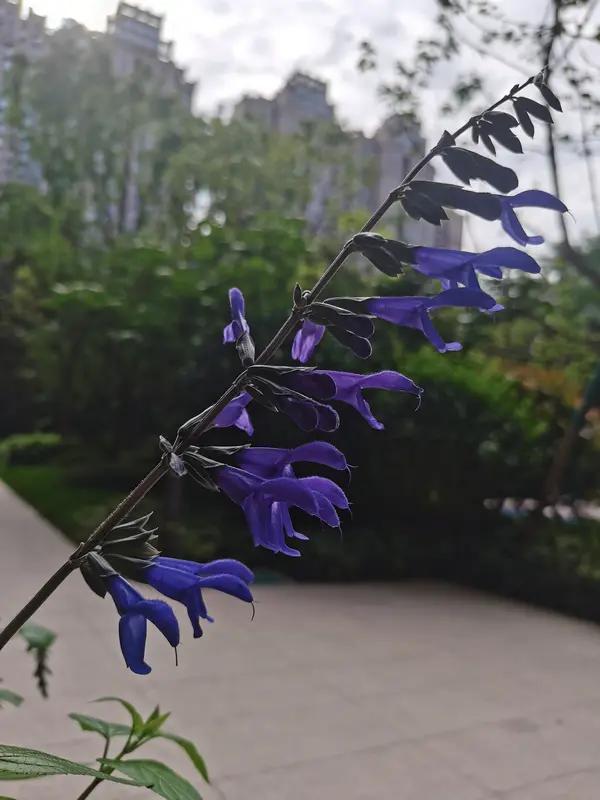 科学与管理跨越国界，亦不分敌友！任正非此言尽显大格局！即便面对敌手，也能将其当作